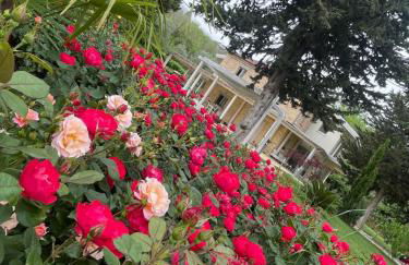 Villa Berenice House and Relax - Foto 7