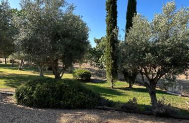 Courela do Monte Novo - Photo 26