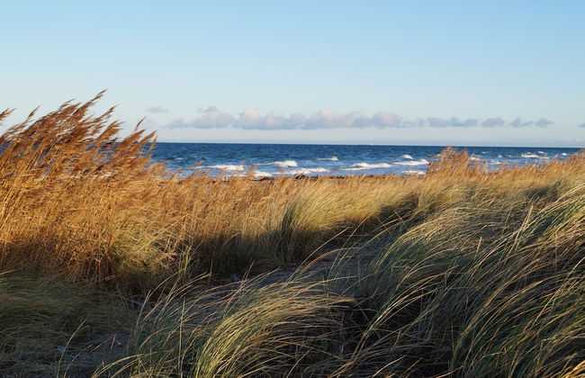 Strandleben Fehmarn - Ferienhaus 1 - Photo 20