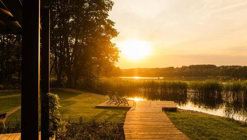 Między Drzewami - Foto 3