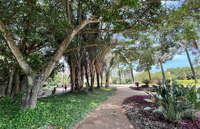 Verano Stay Flat Trab e Relax - Foto 39