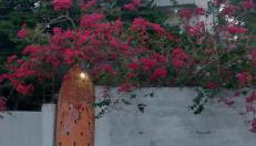 Loft Chacara Perô natureza - Foto 4