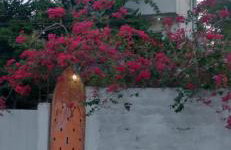 Loft Chacara Perô natureza - Photo 4