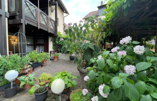 Apartment Gerberbachviertel - Foto 8