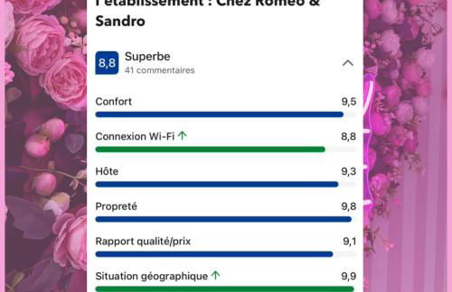 LOVE Room - Balnéo - Ciel Etoilé - Free Wifi - Netflix - Hyper Centre - Foto 11