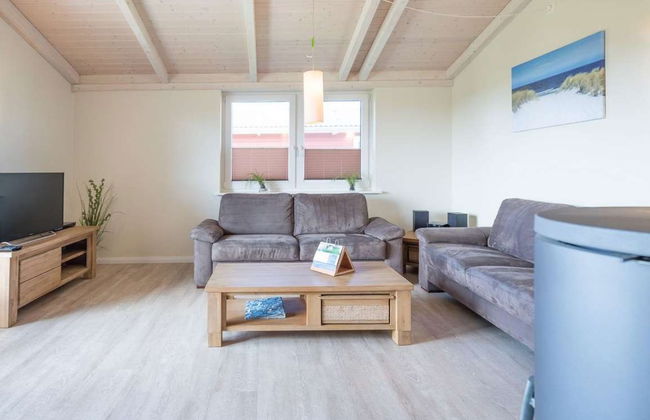 Strandflieder - Foto 2