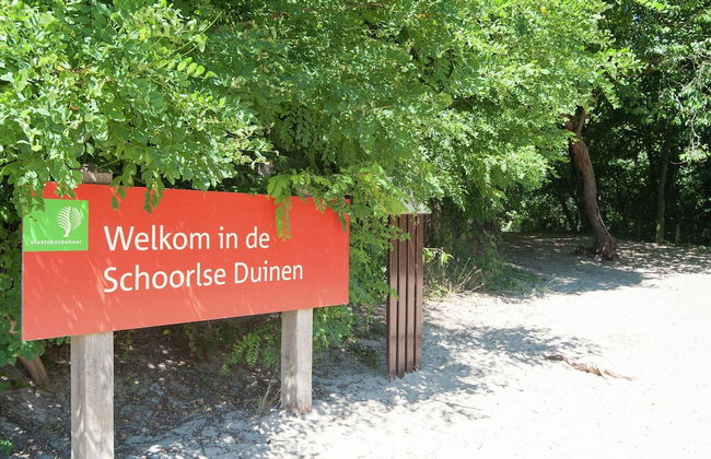 Elite Holiday Home in North Holland near Forest - Foto 35