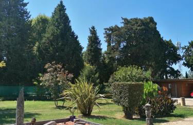 Masribou2 - Photo 19