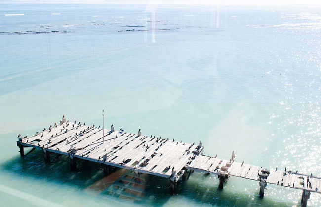 Strand Pavilion - Photo 60