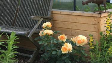 Ferienwohnung im Herzen von Kelheim - Photo 4