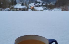 Cichosan domek w dolinie Sanu - Foto 57