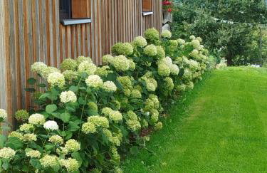 Dom Wakacyjny Brzozowy Gaj Bieszczady - Foto 65