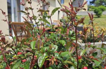 Ty Pesked Ru - Foto 33