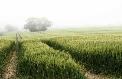 Reetdachkaten in Schuby, Ostsee - Foto 26