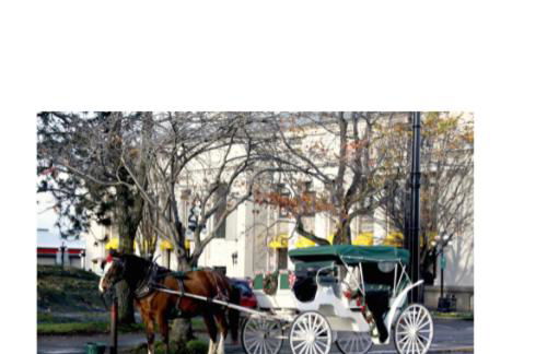 Beachside Heated Pool Hot Tub 2 King Beds Firepit - Foto 38