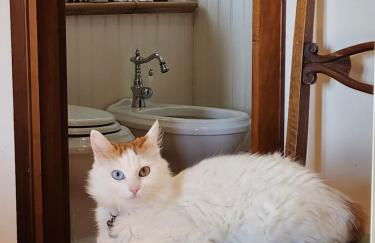 Casale Sant'Egidio - Lago di Bolsena - Foto 22