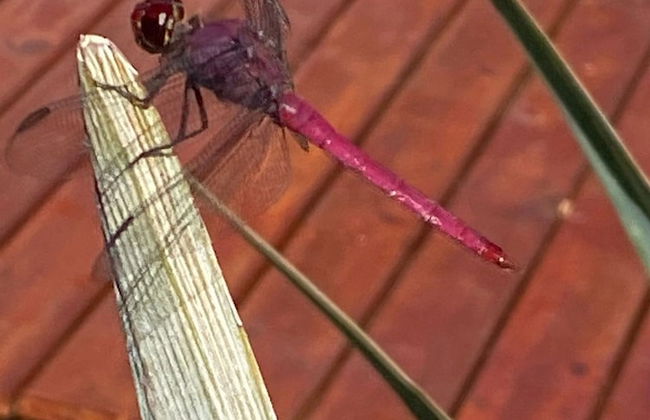 Casa Paula - Photo 34