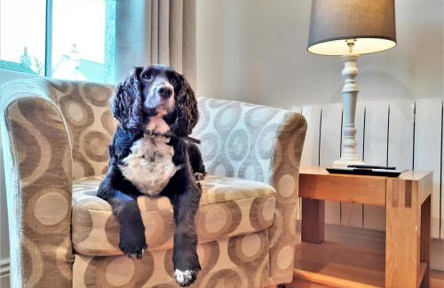 1 Bed in Penzance oc-86149 - Photo 5