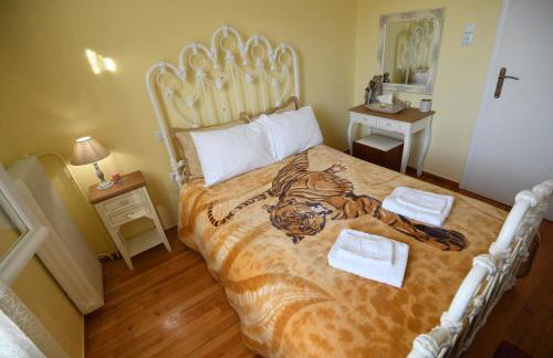 Art Flowers and Culture - Foto 34