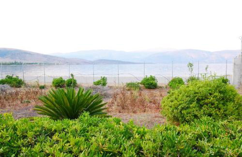 Seaside Garden Galaxidi - Photo 4