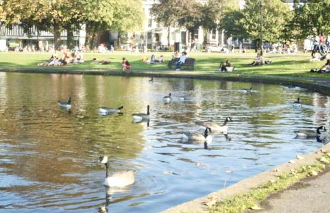 Clapham 3-bed Flat, Sleeps 6 With Free Parking - Foto 31