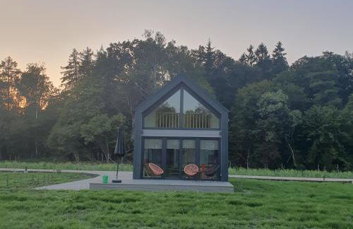 Bujanie w sitowiu - Foto 26