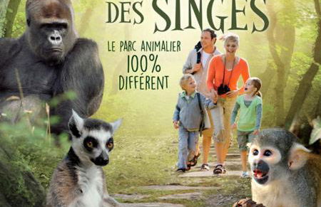 Gîte de Bena - Foto 20