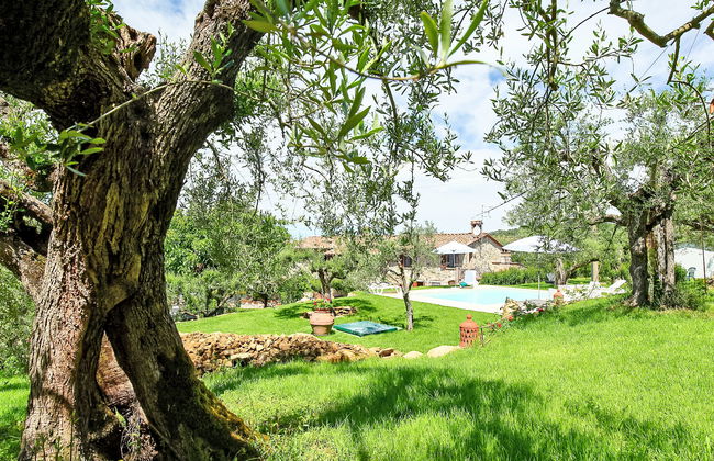 Trasimeno link - Foto 26