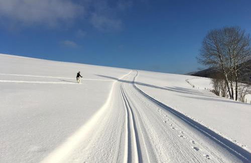 Ferienwohnung Brandenburger - Foto 40