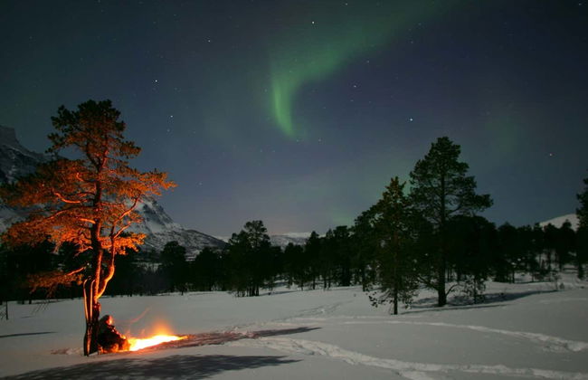 Tour de la aurora boreal por Bodø - Foto 3