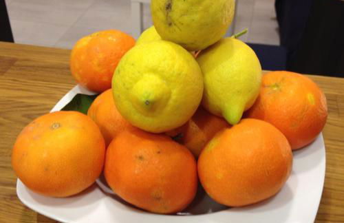 CA dúplex mar s'Estanyol de Migjorn - Foto 29