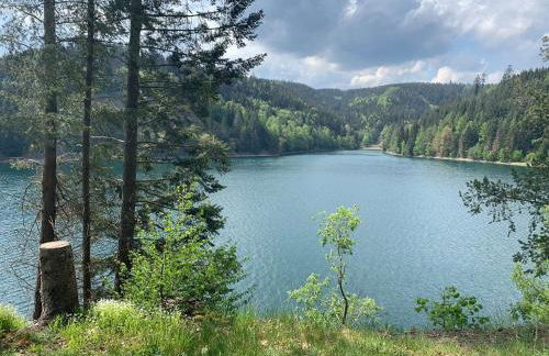 Komfortable Ferienwohnung 100qm mit Loggia in Schauenstein im Frankenwald-Fichtelgebirge - Foto 27