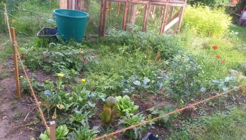 Naturlehmhaus - Foto 2