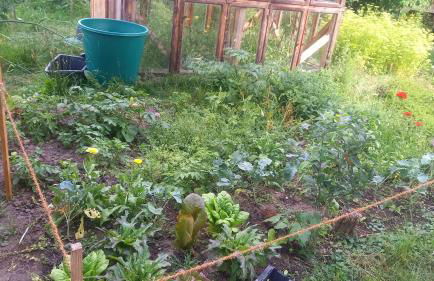 Naturlehmhaus - Foto 2