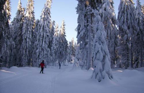 Haus Am Waldesrand - Foto 33