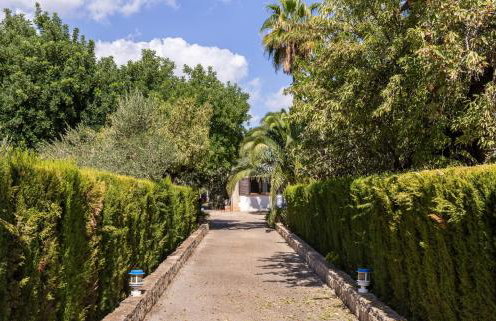 Finca Can Lluc - Photo 27