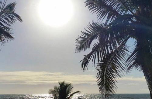 Terra de Gabriela e Jorge Amado,Todo refrigerado! - Foto 13