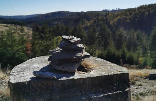 Fewo-BergSeeOase - Foto 54