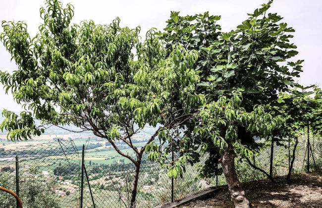 Italian Charming Mansion in the County Side Enjoy Umbria - Foto 26