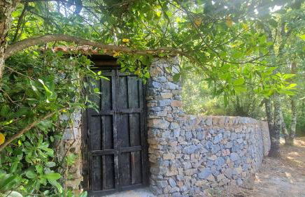 Huerto Fernandito - Foto 29