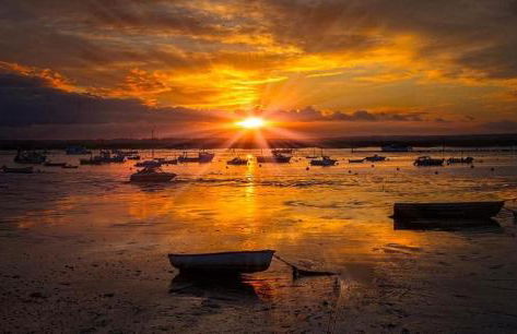 Oyster Lodge - Foto 27