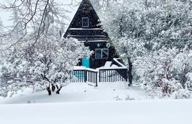 Dog Friendly A-frame Hot Tub Nature Views - Foto 41