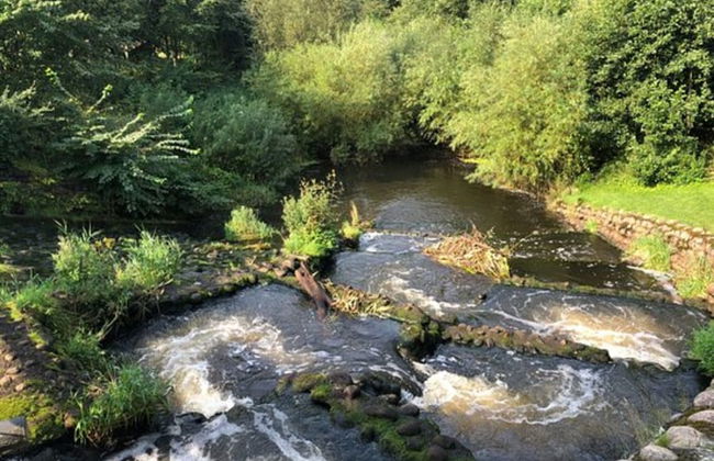 10 Person Holiday Home in Bindslev-by Traum - Foto 53