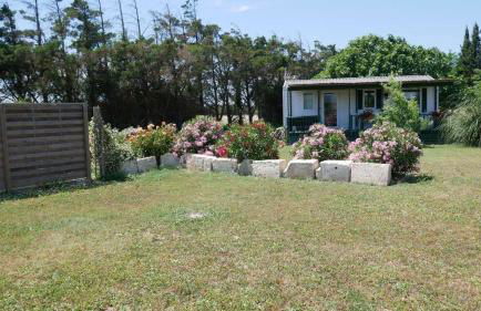 MAS MAURANE-Le Platane avec SPA privé aux portes d'ARLES - Foto 3