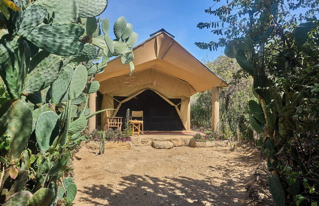 Tindiga Tented Camp - Foto 39