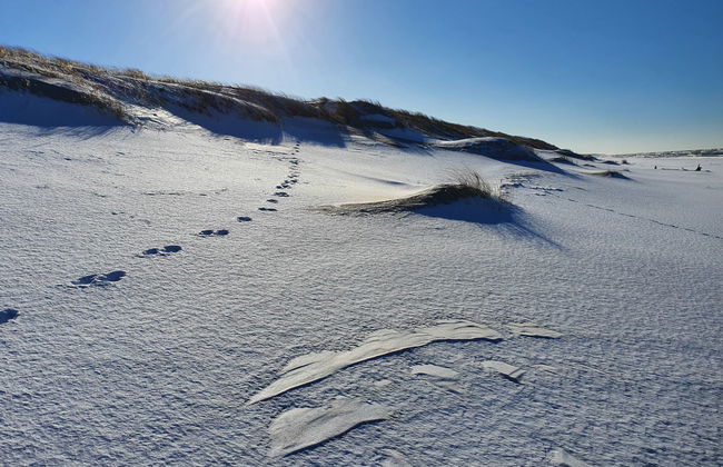 2 bedroom House in Smołdzino with garden and terrace - Foto 20