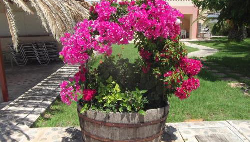 Villa Rita Apartments A - Foto 5