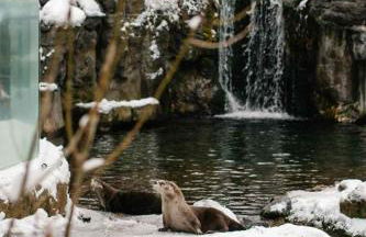 Charming 3-Bedroom Home in Bend with Hot Tub Game Room & Spacious Family Dining - Foto 26