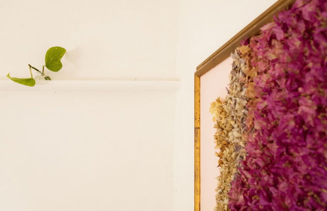 Casale alle Vigne - Foto 34