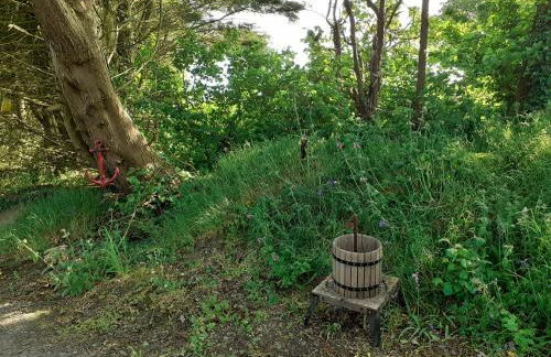 Woodpecker Cottage - Photo 8